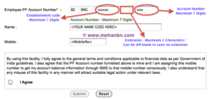 PF_Account_Balance_Online